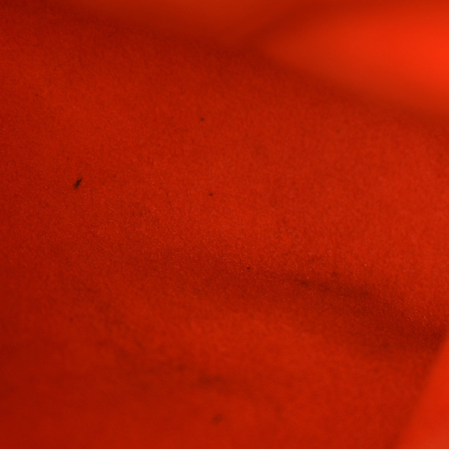Monogram Pallas Piment