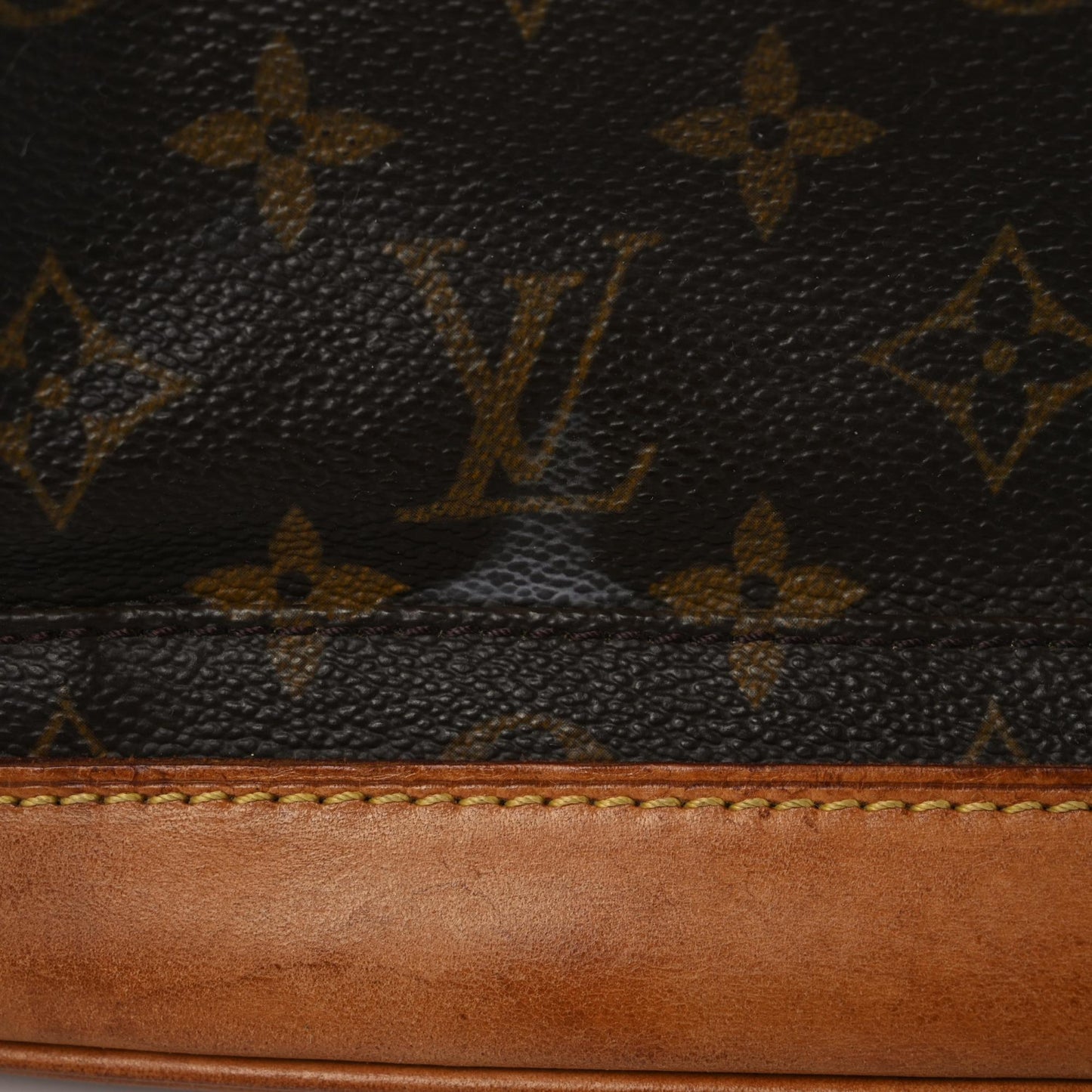 Monogram Montsouris GM Backpack
