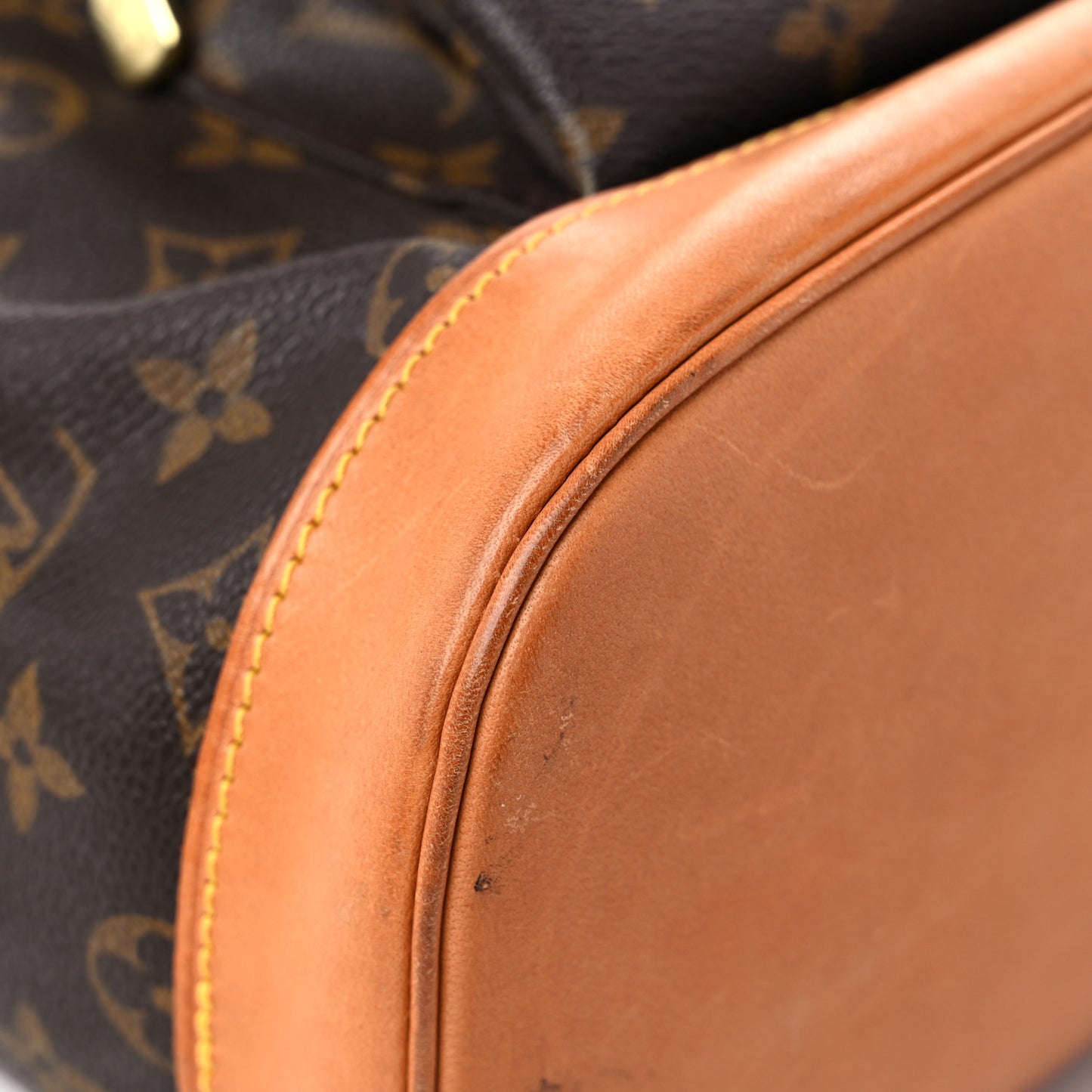 Monogram Montsouris GM Backpack