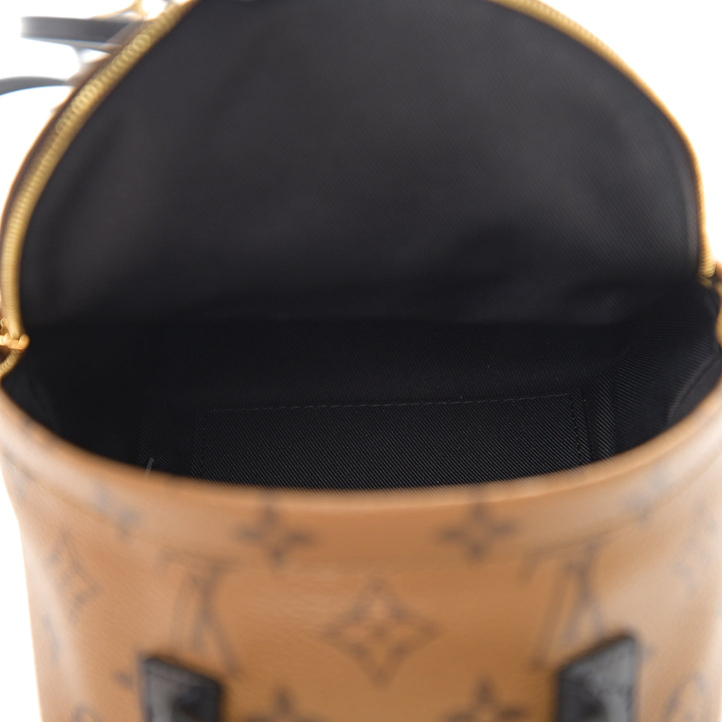 Reverse Monogram Palm Springs Backpack Mini