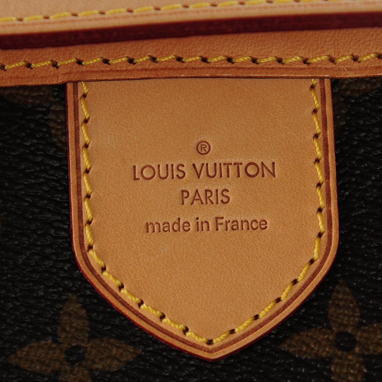 Monogram Delightful PM