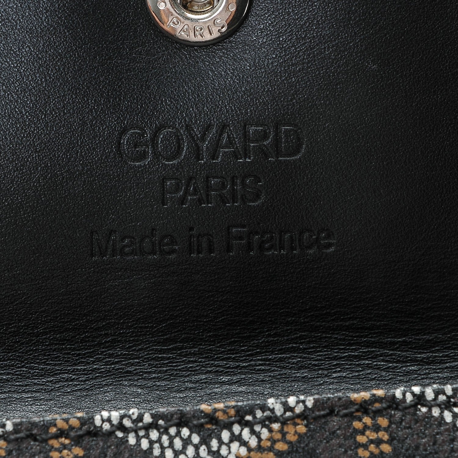 Goyard Goyardine Saint Louis PM Black 9 of 9