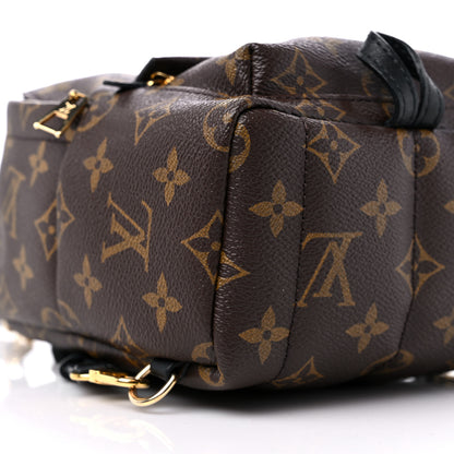 Louis Vuitton Monogram Palm Springs Backpack Mini 7 of 11