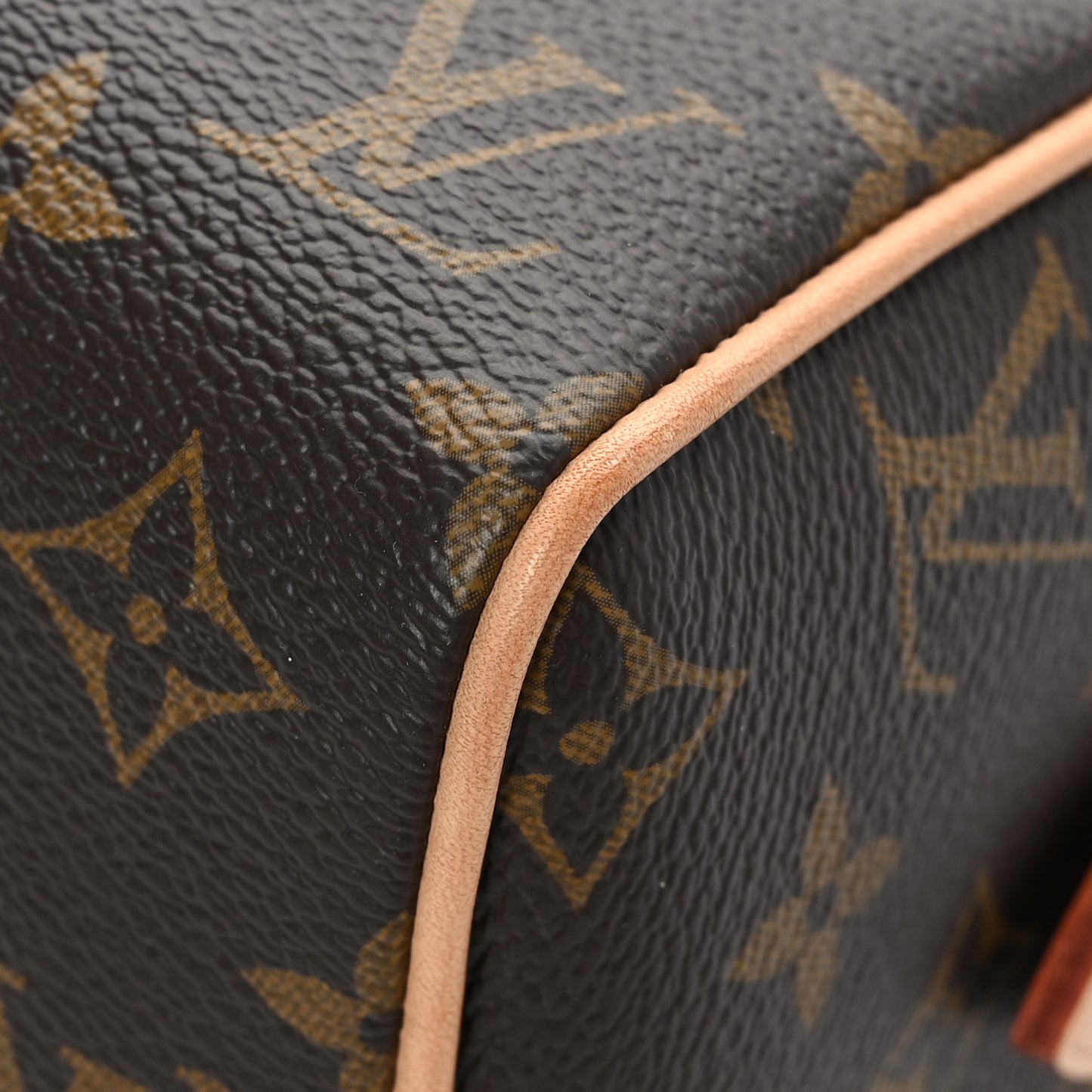 Monogram Speedy Bandouliere 20