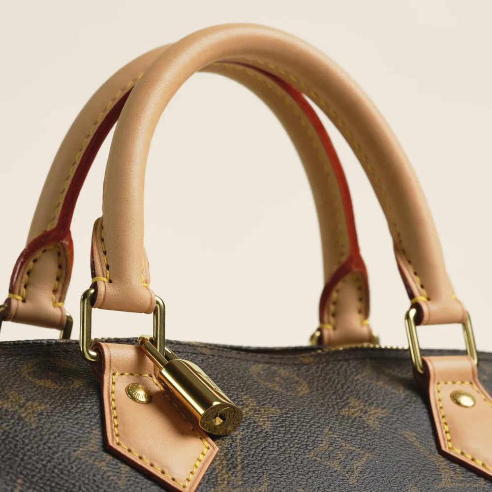 Close up on the handles of a Louis Vuitton Speedy