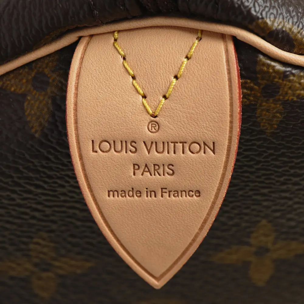 The leaf tab of a Louis Vuitton Speedy up close