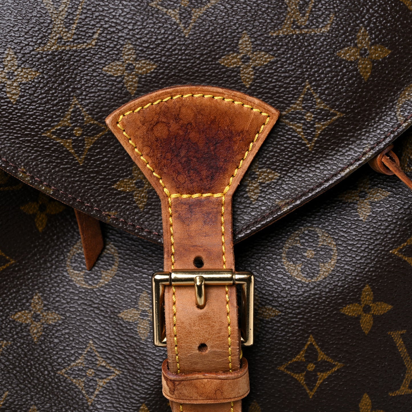 Monogram Montsouris GM Backpack