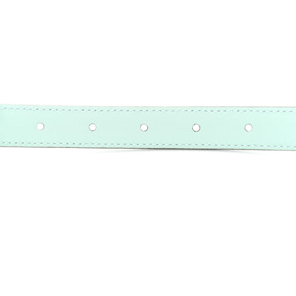 Gucci Moon Calfskin Palladium Double G 20mm Belt 80 32 Water Green 4 of 5