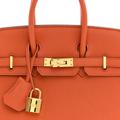 Hermes Togo Birkin 25 Terre Battue 7 of 10