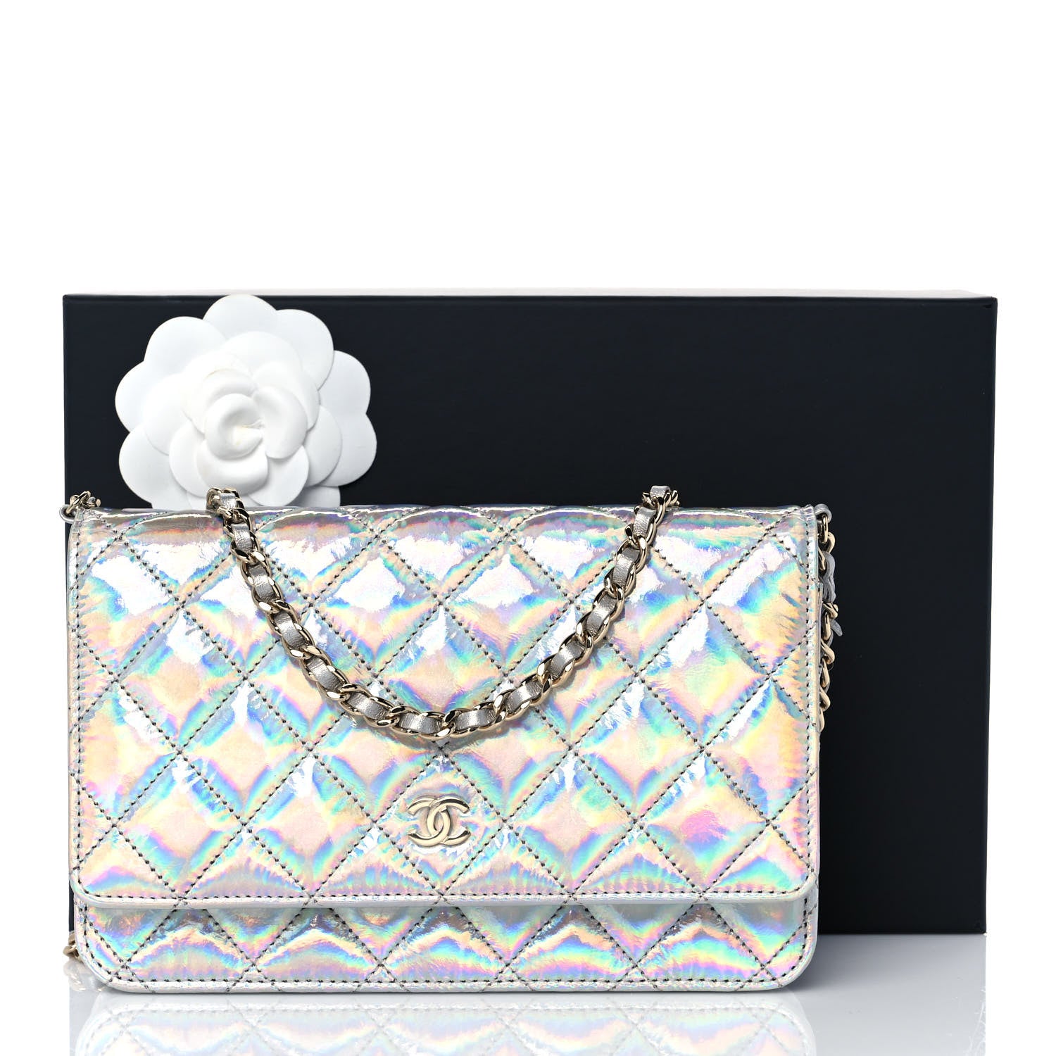 Chanel Iridescent Goatskin Quilted Wallet On Chain WOC Silver 11 of 11