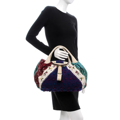 Fendi Lizard Canvas Aspen Embroidered Spy Multicolor Panna 2 of 8