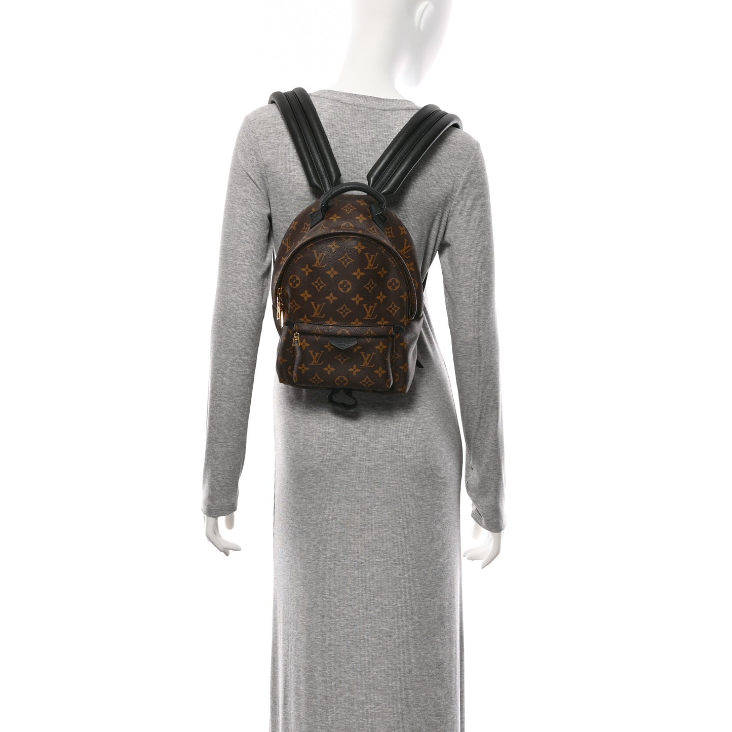 Monogram Palm Springs Backpack PM