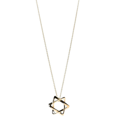 Tiffany 18K Yellow Gold 12mm Elsa Peretti Star of David Pendant Necklace 1 of 7