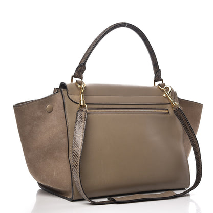 Celine Calfskin Suede Whipsnake Medium Trapeze Taupe 4 of 14