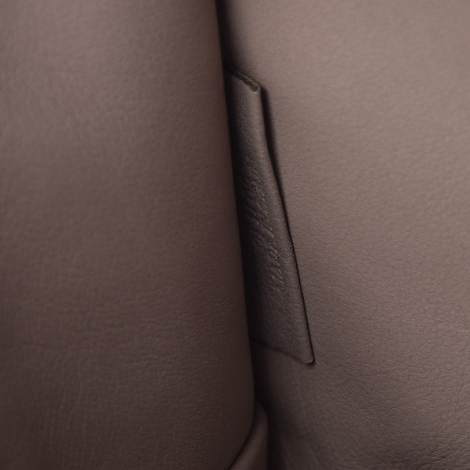 Loewe Goatskin Amazona Beige 8 of 9
