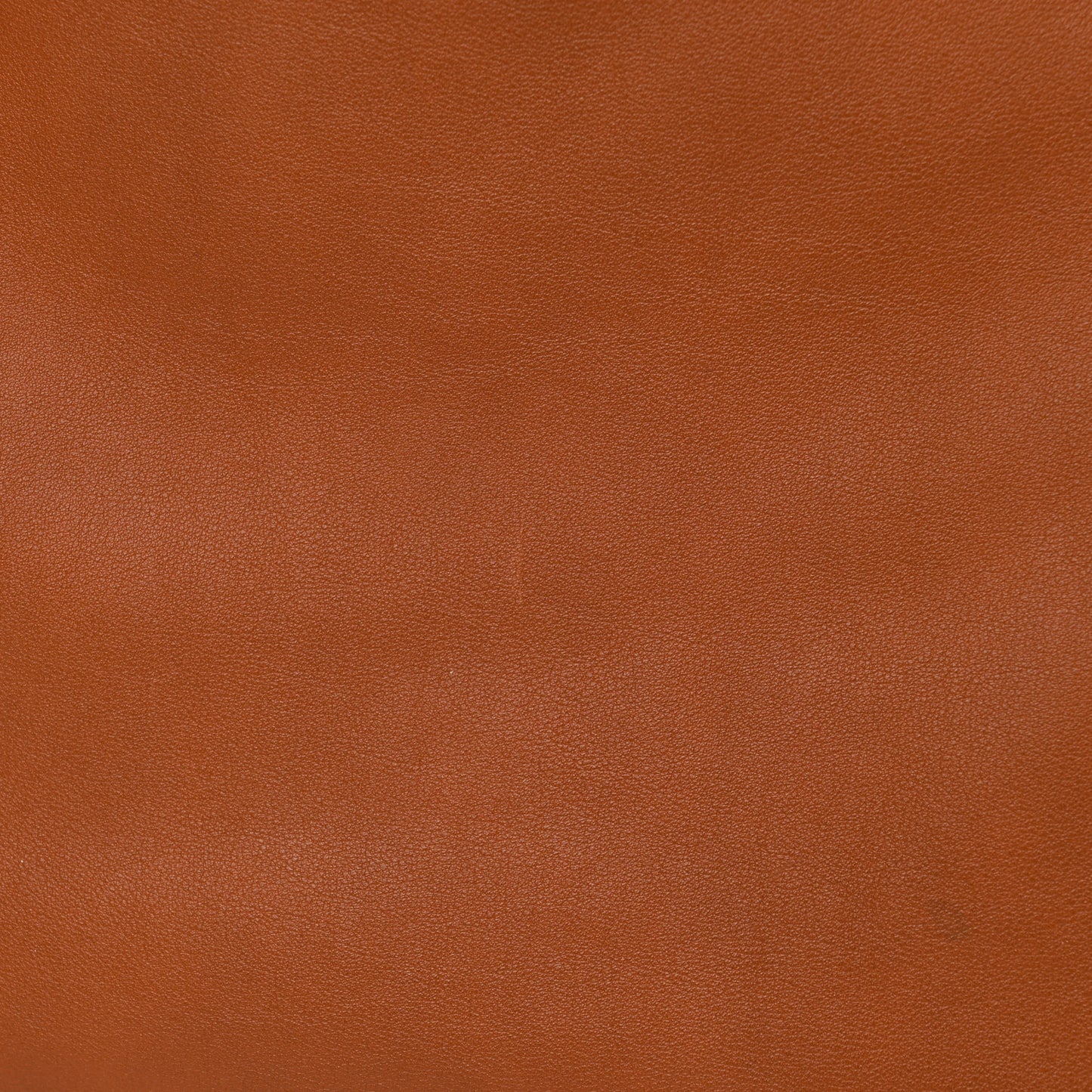 Veau Sikkim Horse Print Double Sens 36 Reversible Tote Cognac Fauve