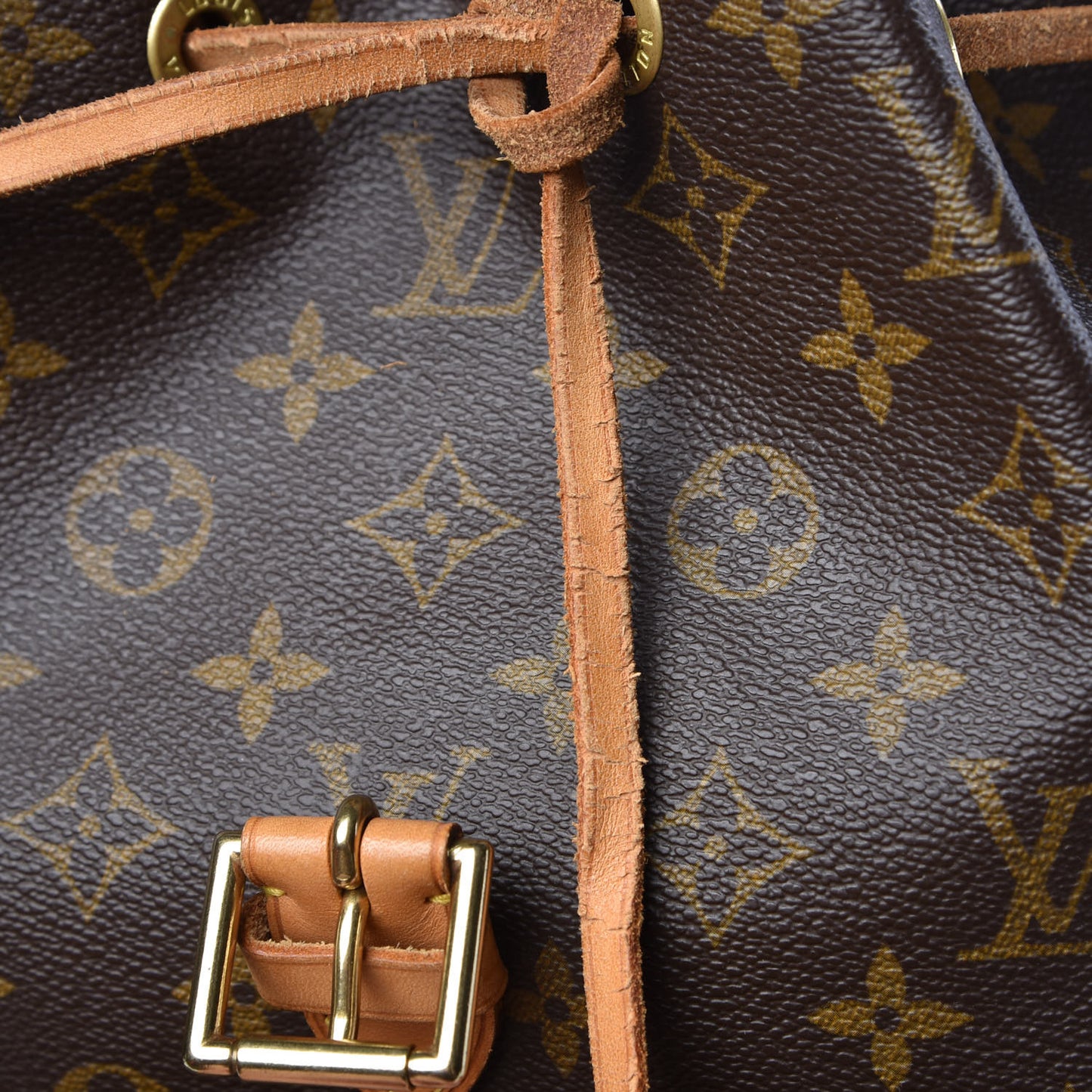 Monogram Montsouris GM Backpack