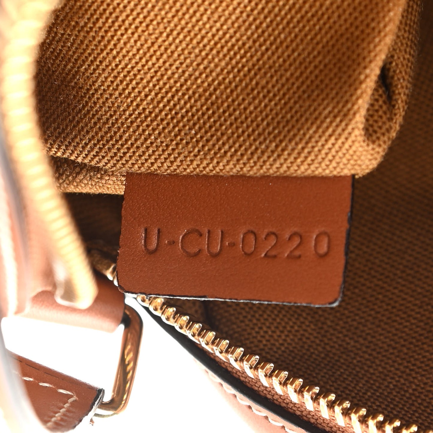 Triomphe Canvas Small Camera Bag Tan