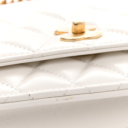Chanel Shiny Calfskin Quilted Multicolor Top Handle Wallet On Chain WOC White 11 of 11