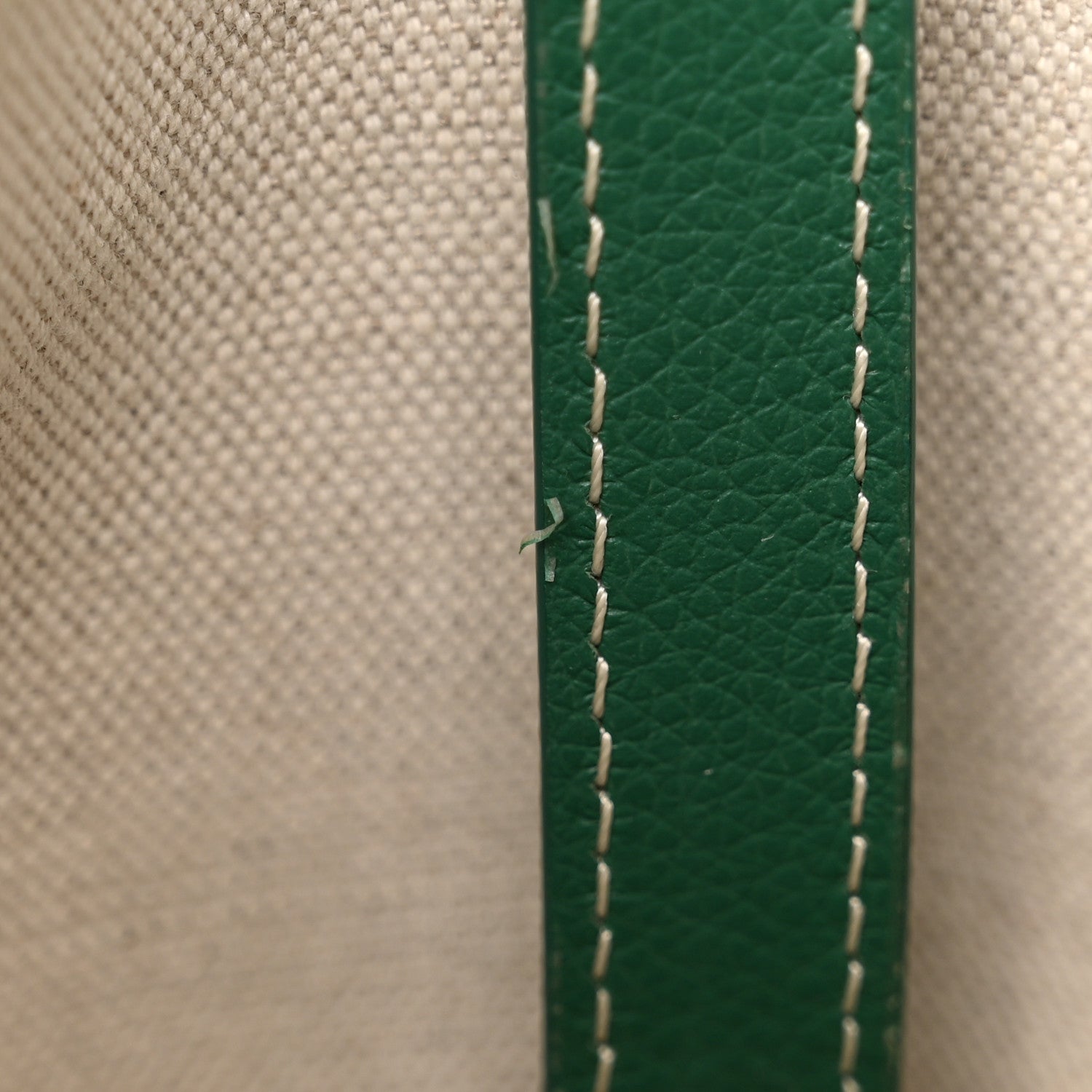 Goyard Goyardine Petit Flot Bucket Bag PM Green 10 of 11
