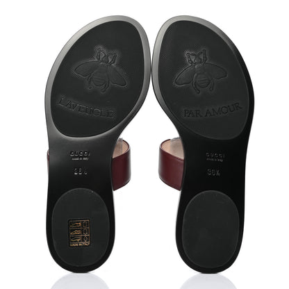 Gucci Calfskin GG Marmont Thong Sandals 36.5 Vintage Bordeaux 5 of 6