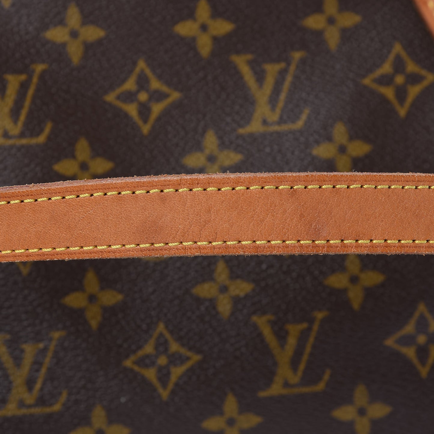 Monogram Cabas Mezzo