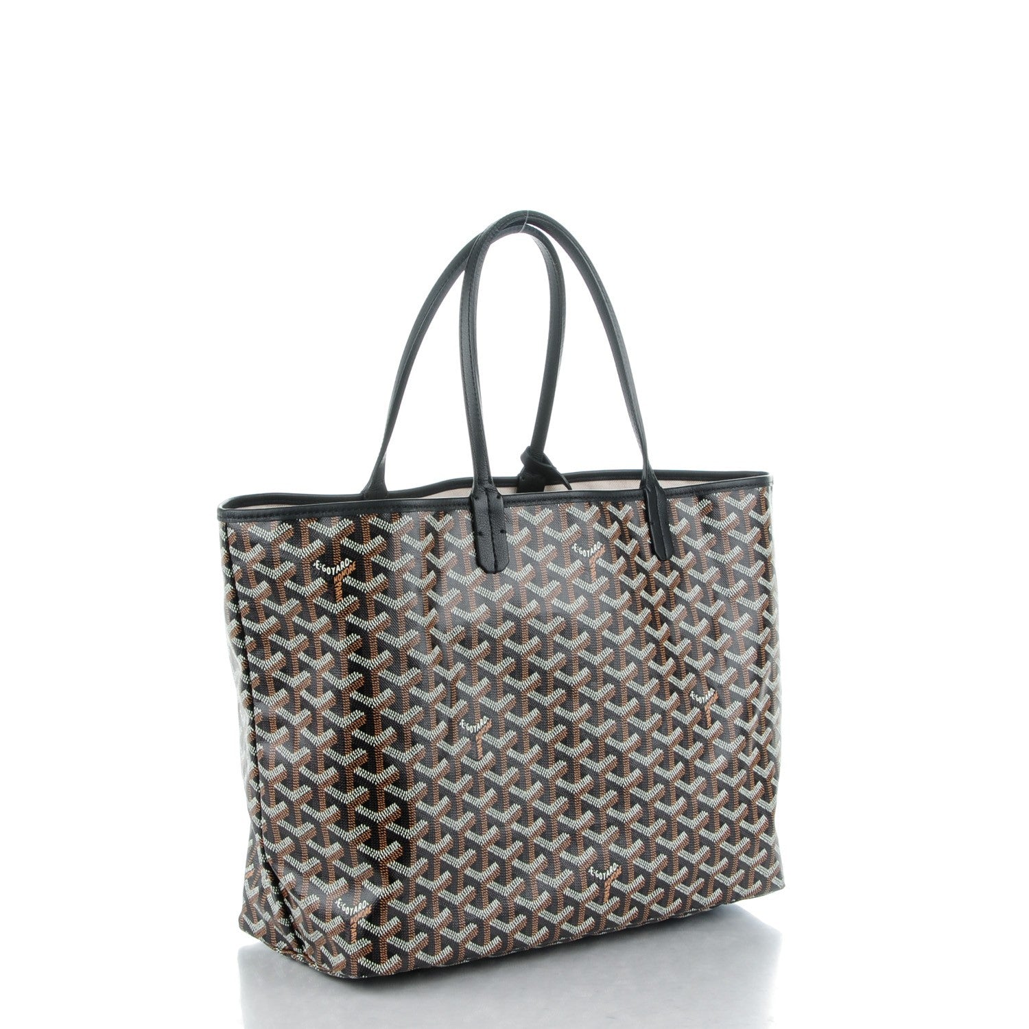 Goyard Goyardine Saint Louis PM Black 3 of 9
