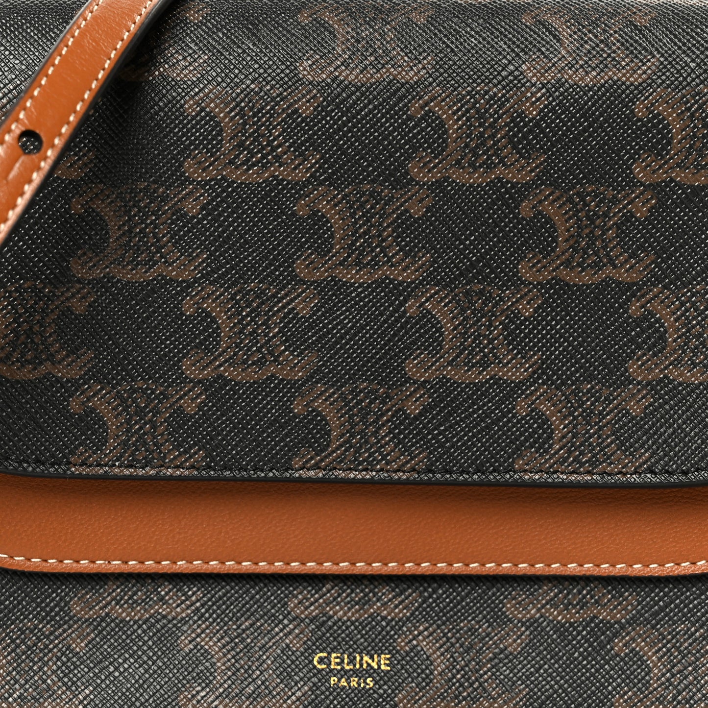 Triomphe Canvas Lambskin Wallet On Strap Tan