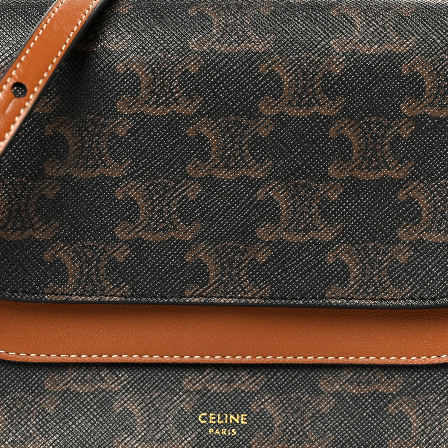 Celine Triomphe Canvas Lambskin Wallet On Strap Tan 10 of 12