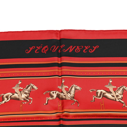 Hermes Silk Sequences Scarf 90 3 of 6