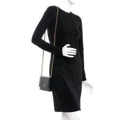 Chanel Caviar Quilted Wallet On Chain WOC Black 2 of 9