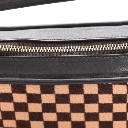 Louis Vuitton Calf Hair Damier Sauvage Tigre 13 of 15
