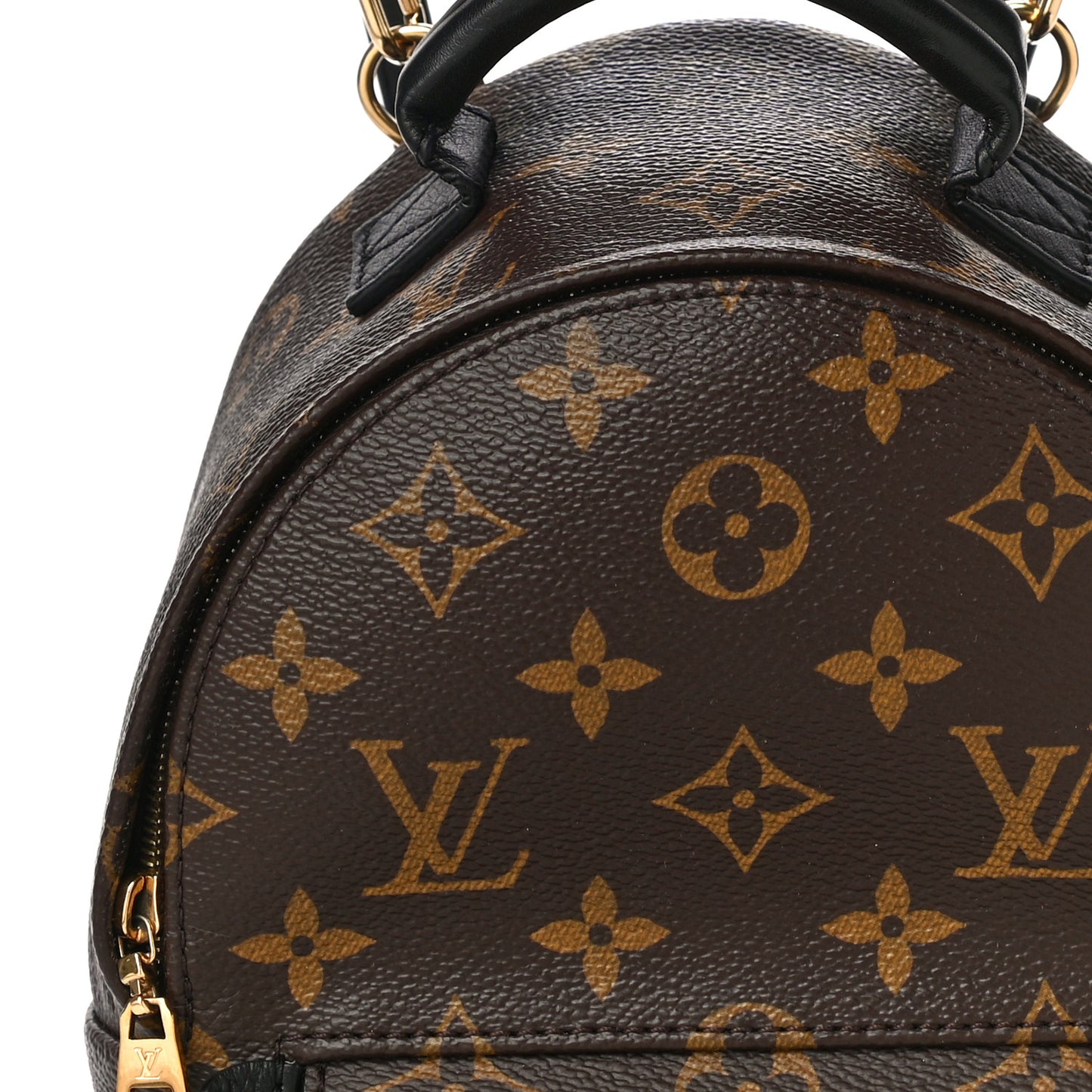 Monogram Palm Springs Backpack Mini
