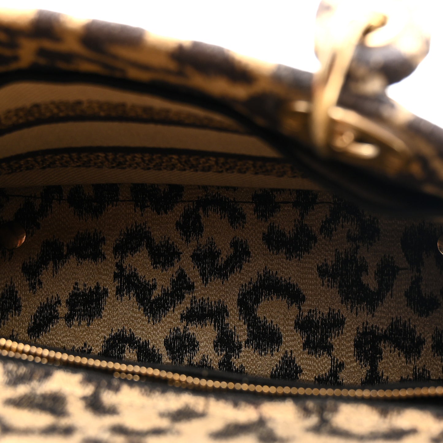 Canvas Medium Mizza Embroidered Lady D-Lite Beige Multicolor