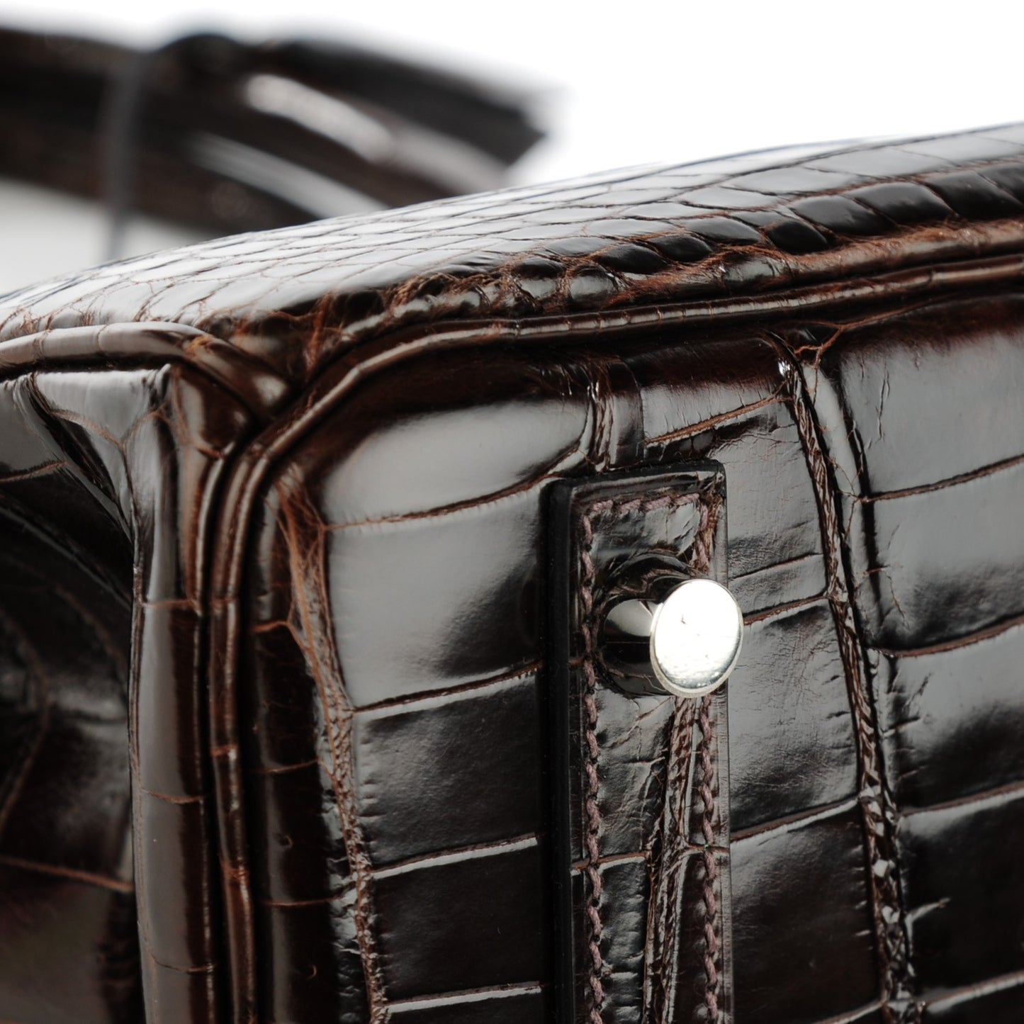 Shiny Niloticus Crocodile Birkin 30 Havane