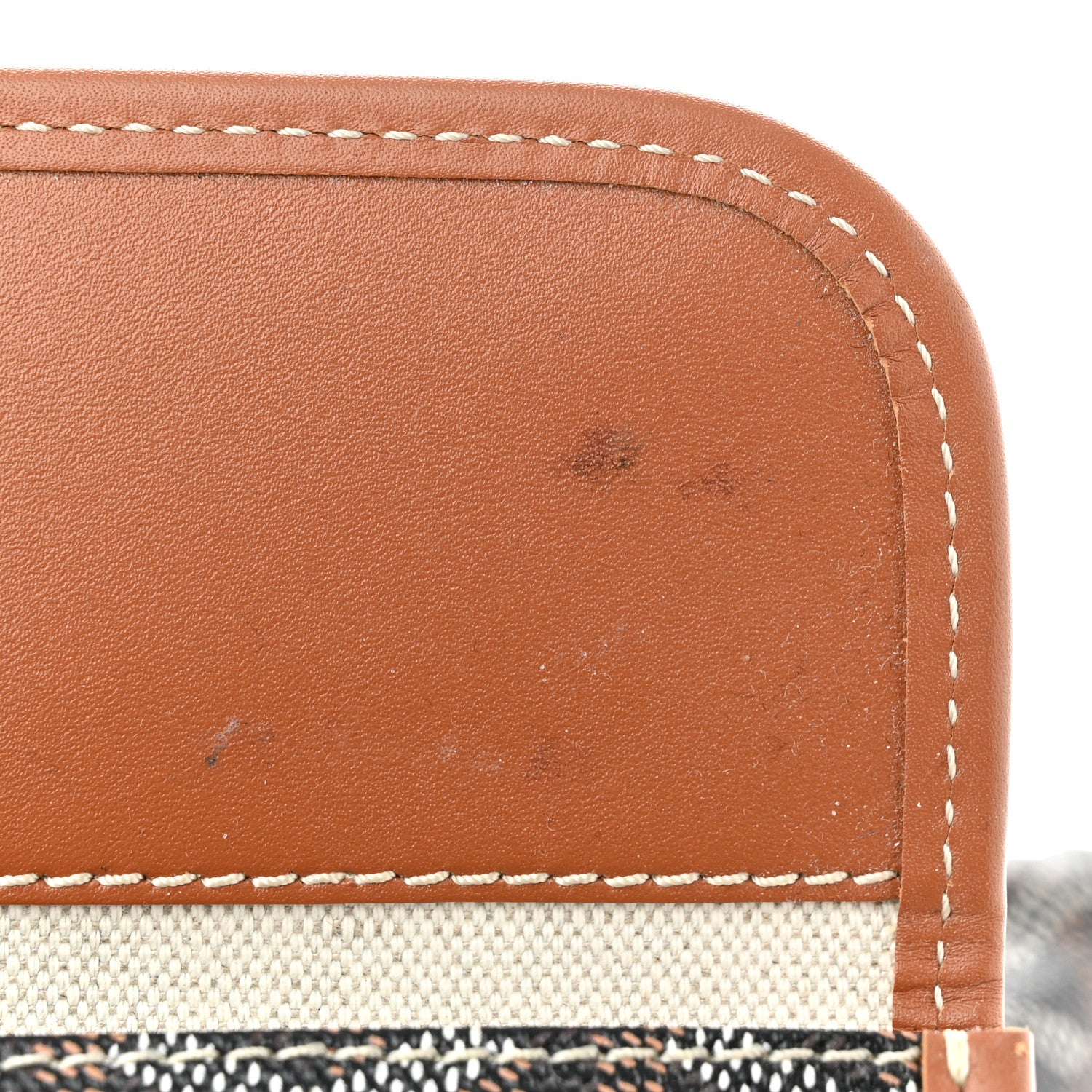 Goyard Goyardine Saint Louis PM Black Gold 16 of 16