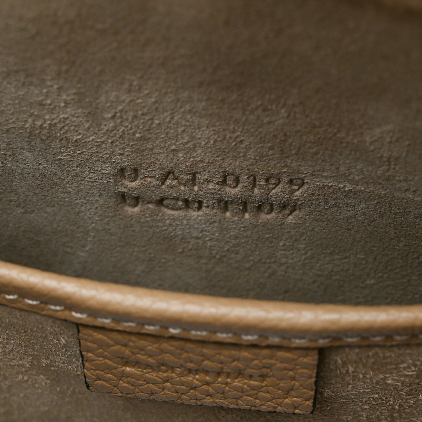 Drummed Calfskin Nano Luggage Dune