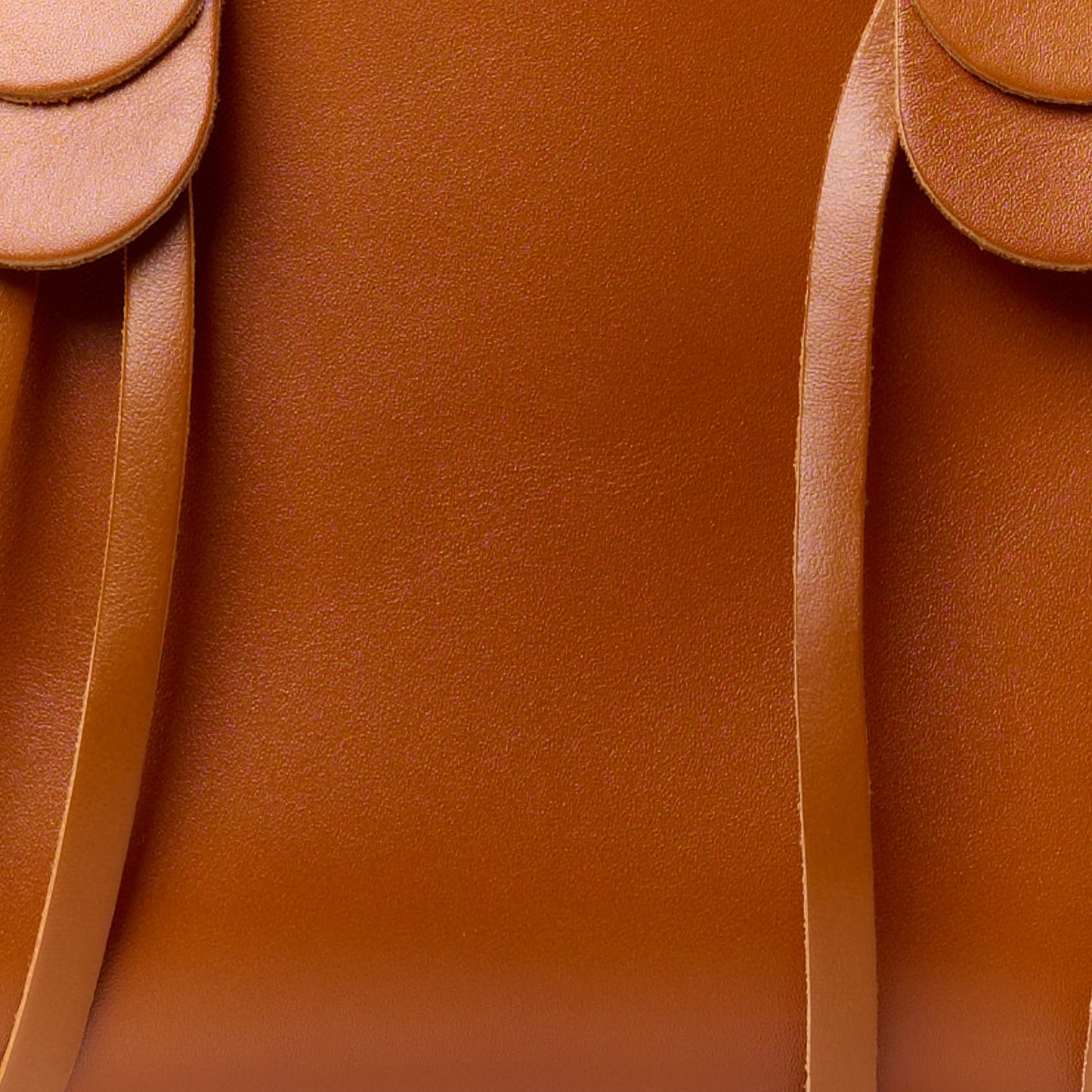 Calfskin Small Mony Tote Caramel