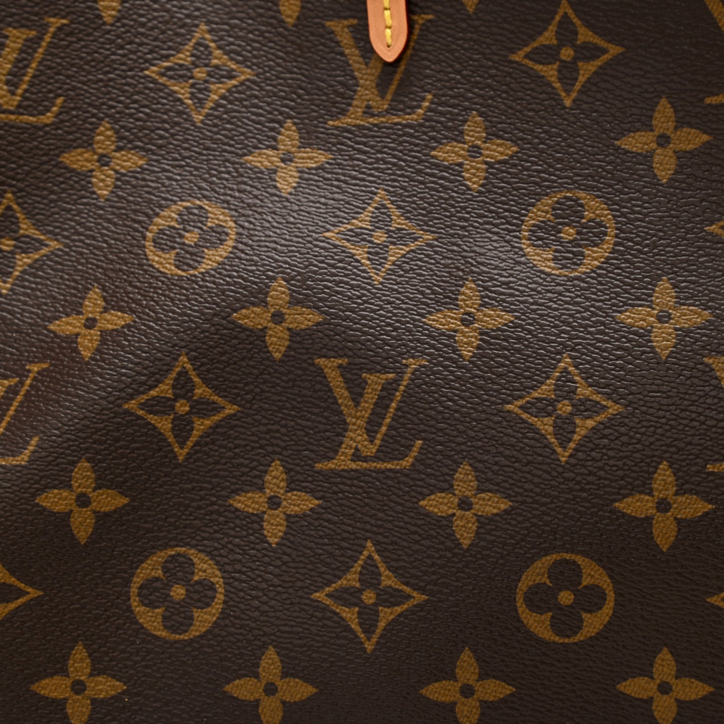 Monogram CarryAll MM