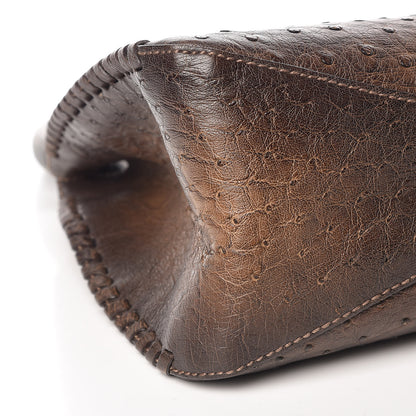 Gucci Ostrich Whipstitch Wooden Handle Small Hobo Brown 8 of 9