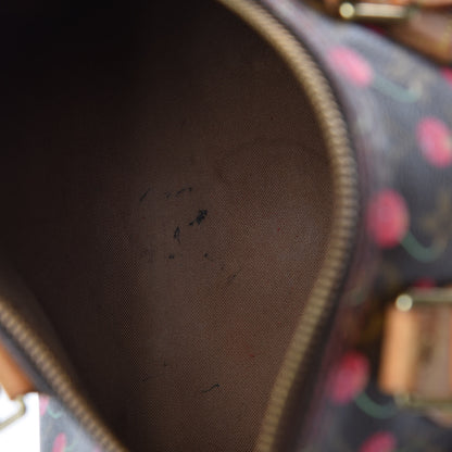 Louis Vuitton Monogram Cerises Speedy 25 11 of 27