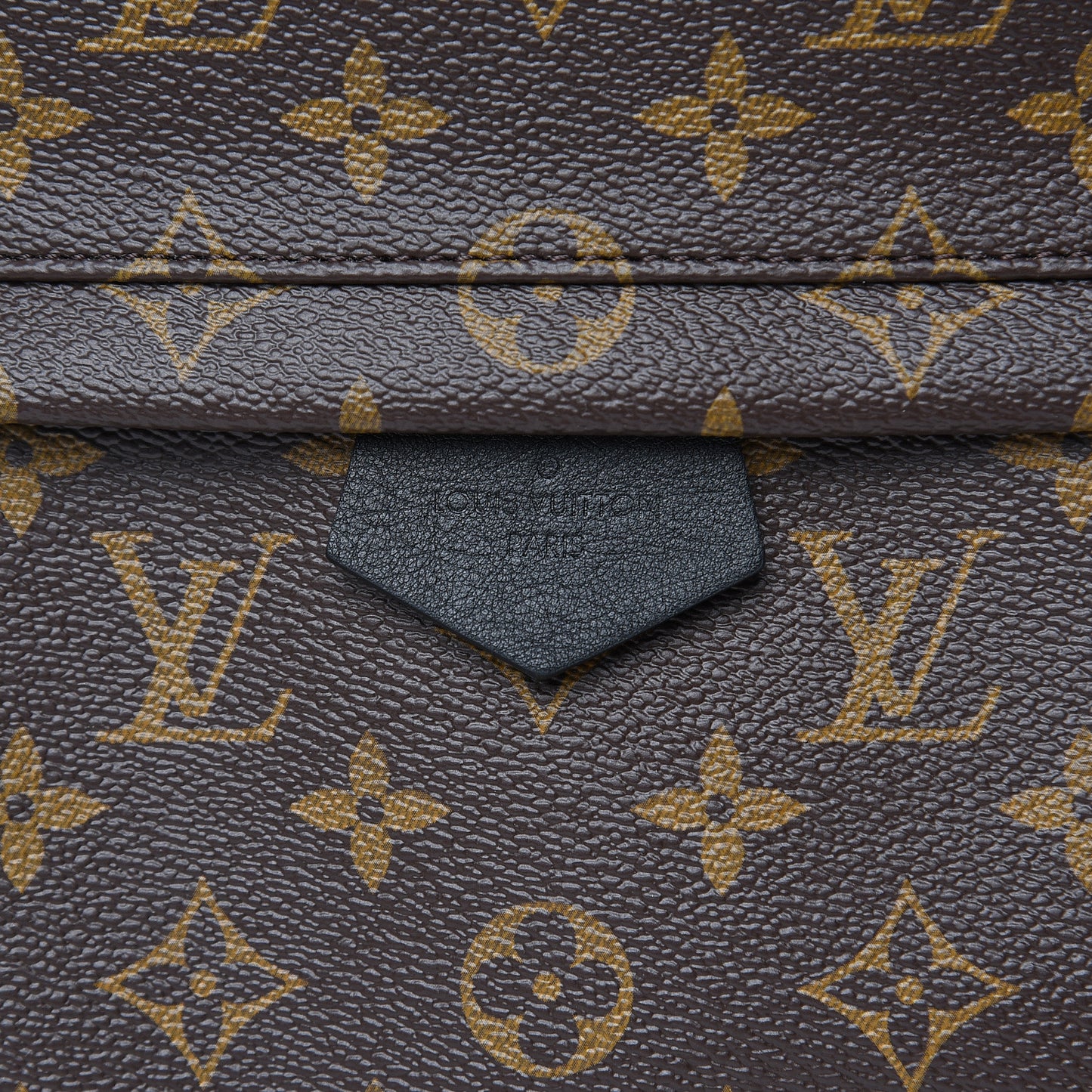 Monogram Palm Springs Backpack MM