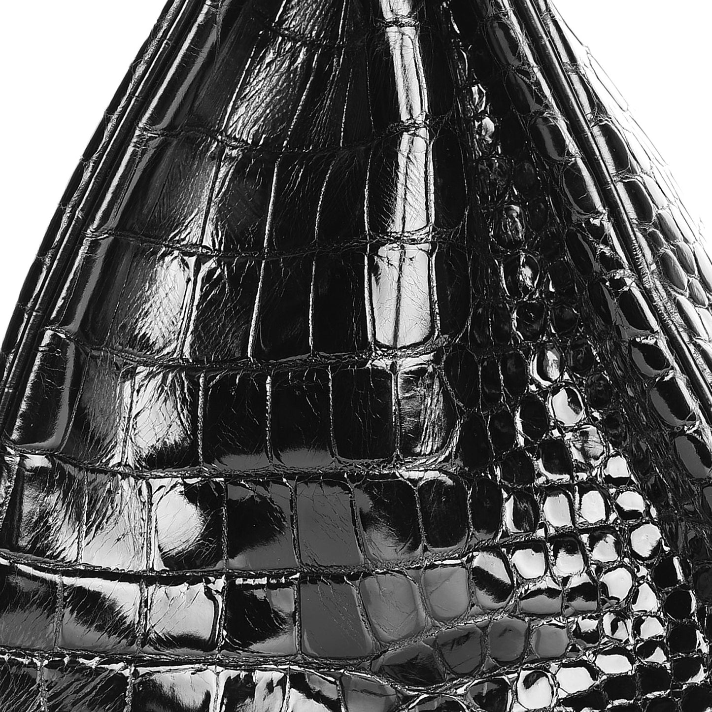 Shiny Porosus Crocodile Birkin 30 Black
