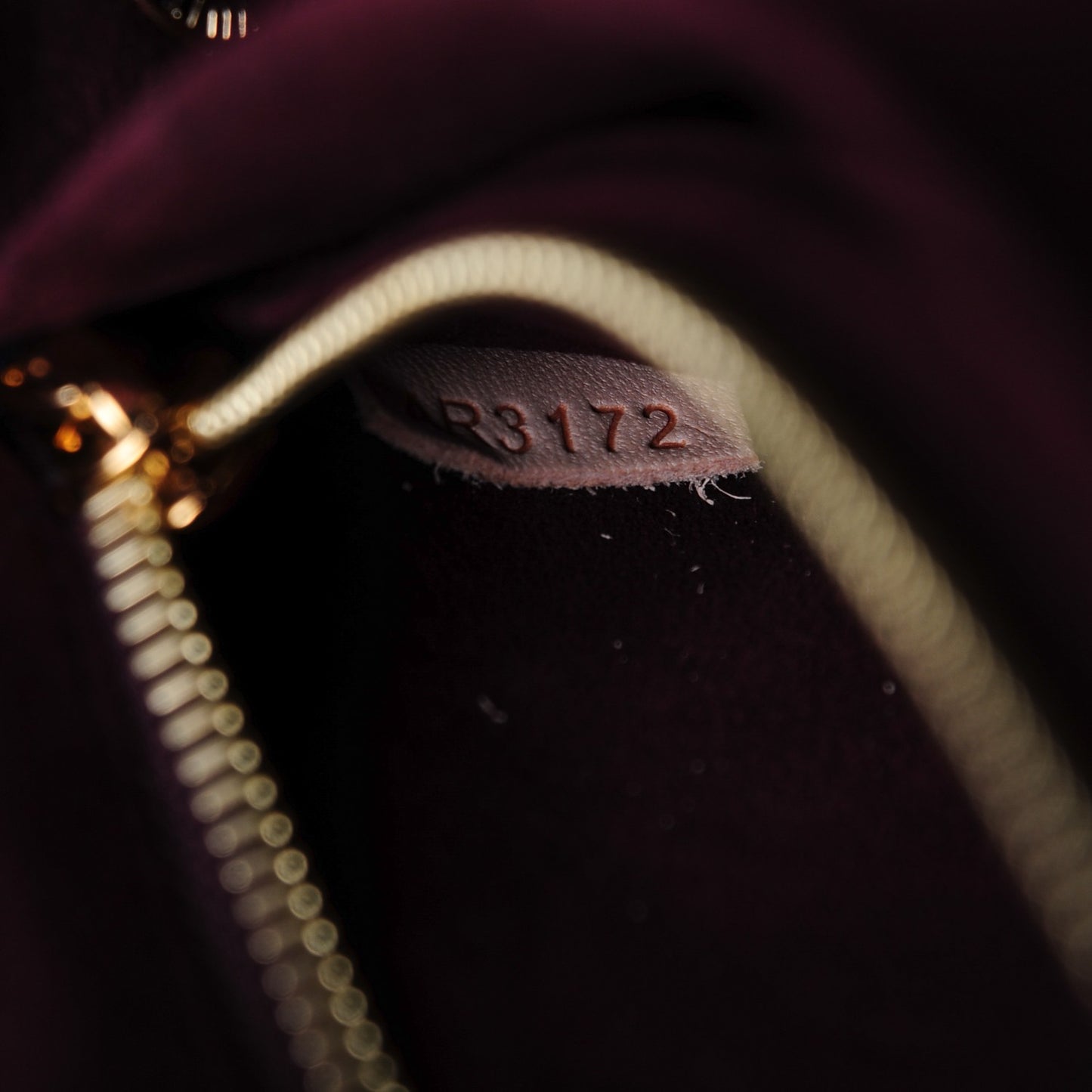 Monogram Eden MM Bordeaux