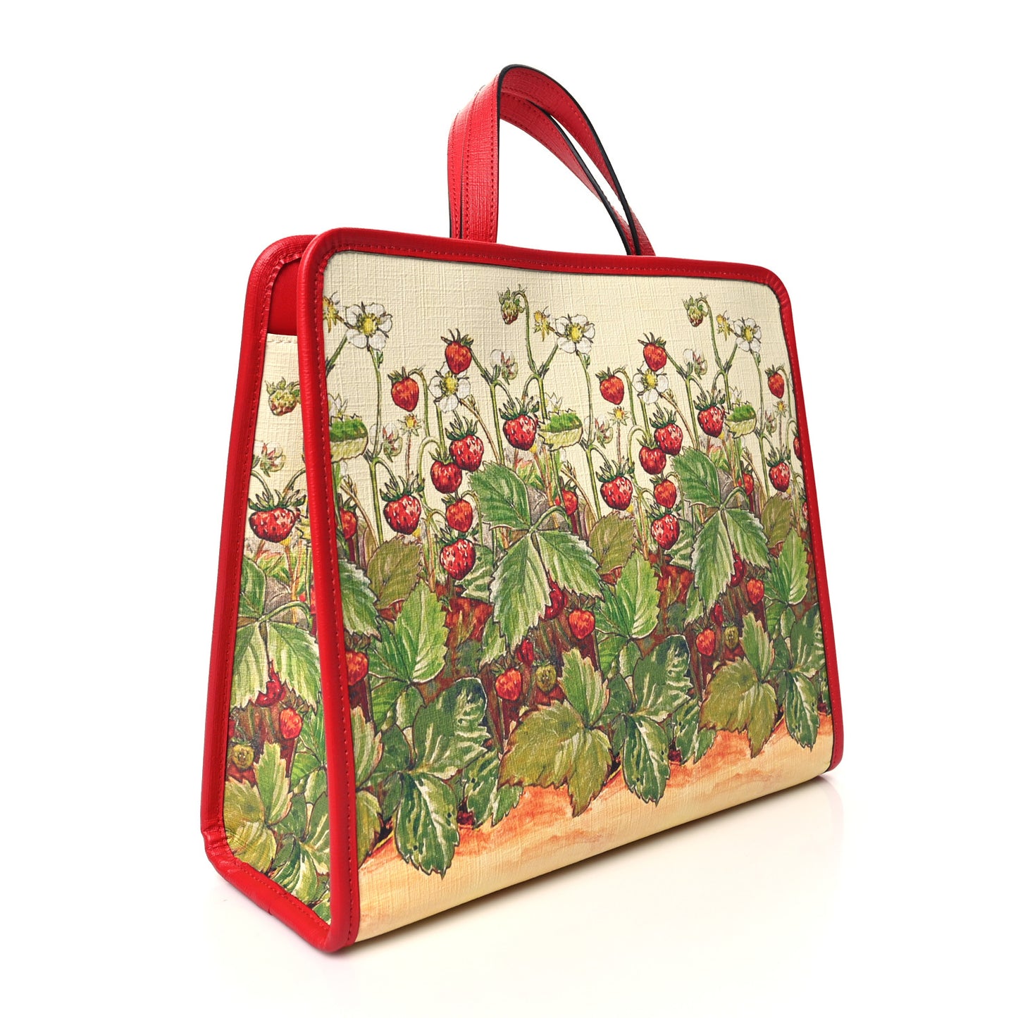 Coated Canvas Love Parade Kids Strawberry Fairy Tote Multicolor