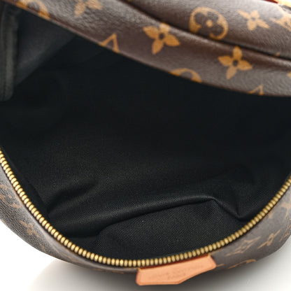 Louis Vuitton Monogram Bumbag 5 of 8