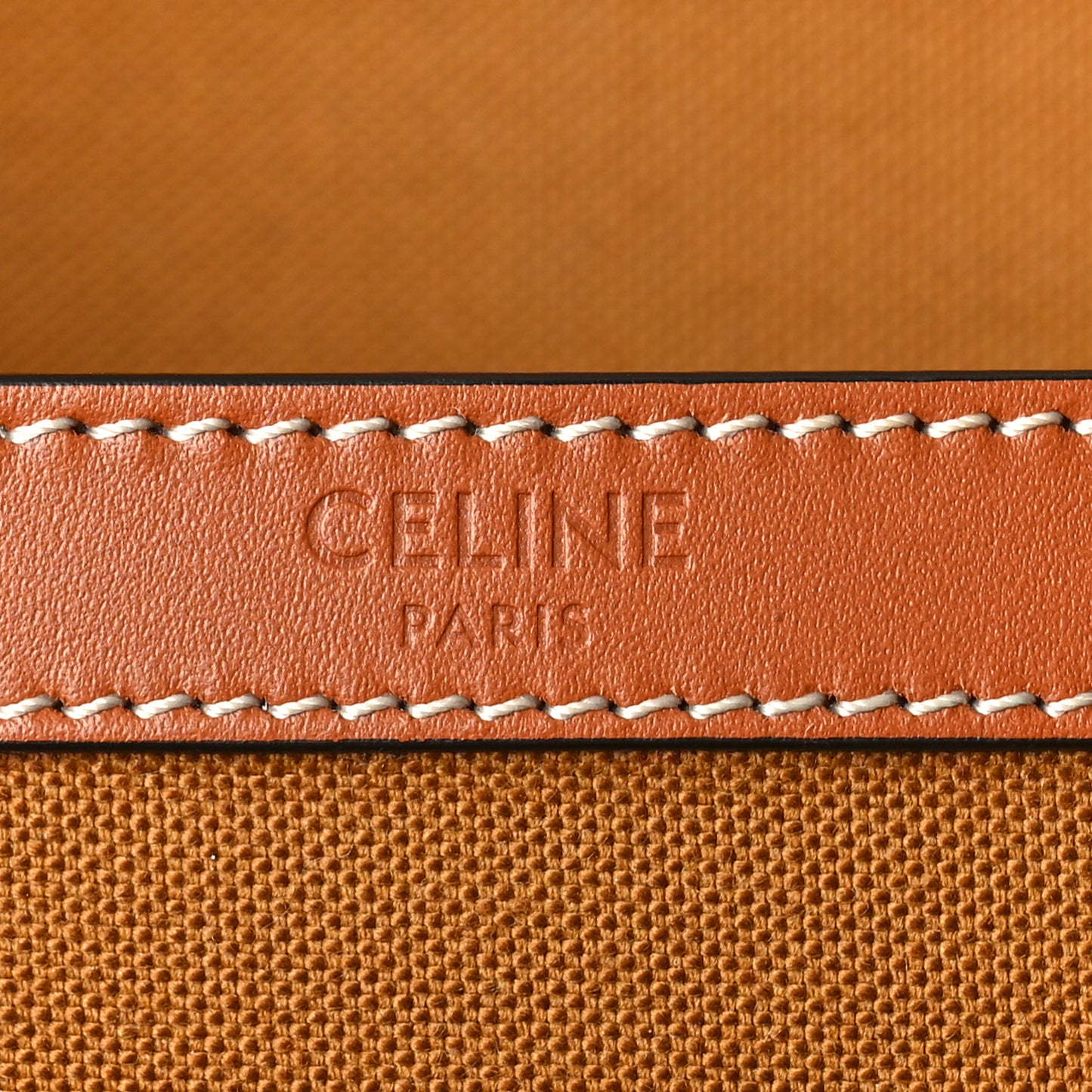 Triomphe Canvas Medium Cabas Bag Tan