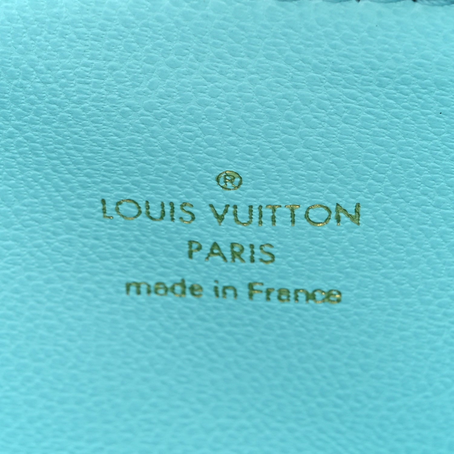 Louis Vuitton Lambskin Embossed Monogram Tricolor By The Pool Coussin PM White Blue 8 of 12