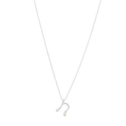 Tiffany Sterling Silver Elsa Peretti Letter N Pendant Necklace 1 of 7
