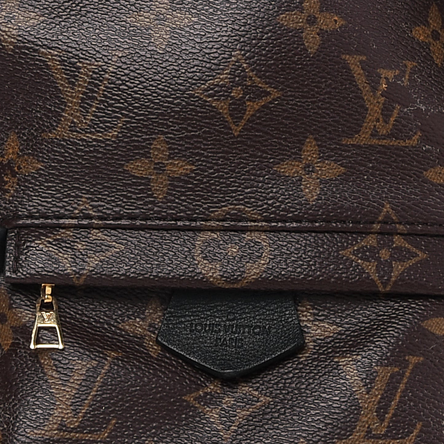 Monogram Palm Springs Backpack Mini